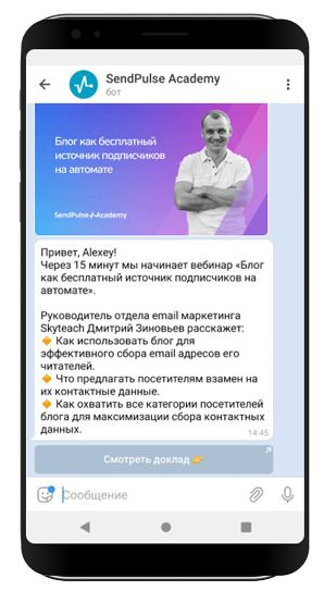 Заказать создать чатбот